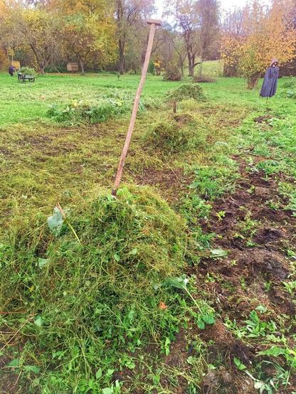 A chopped down garden, greenery piled in a few heaps with a pitchfork in the nearest one. A few pumpkin mounds remain standing.