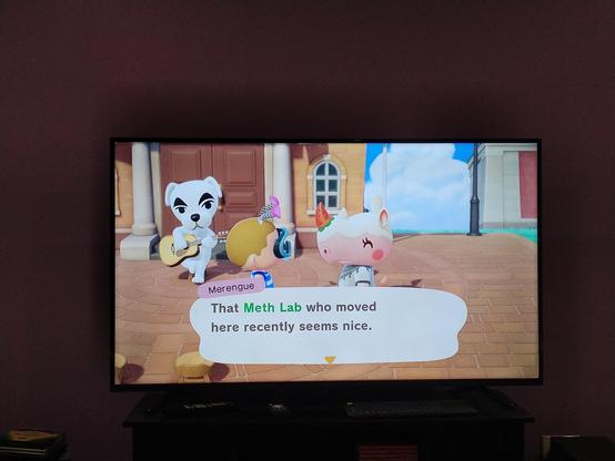 Animal Crossing screenshot of Merengue saying "That Meth Lab who moved here recently seems nice"