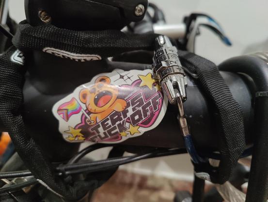 Marco de la bici, una pegatina de un oso gritando con una bandera lgbtiq que pone TERFS FUCK OFF