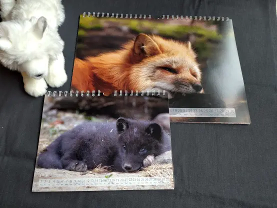 My shop assistant showing you two more calendar pages. The fluffy assistant is not included in the calendars!