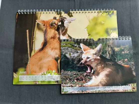 Two pages of a leggy calendar.