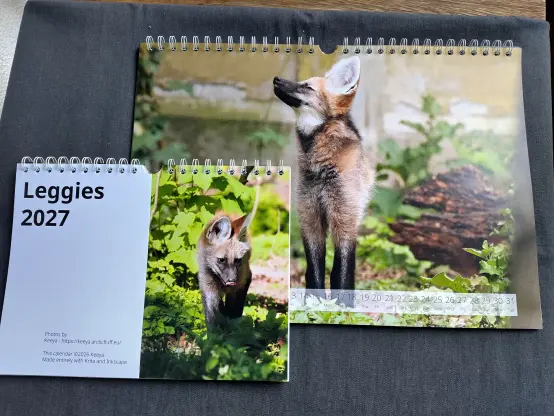 Maybe a bit too much Xante in the leggy calendar. Hm, nah, there can never be enough of her!