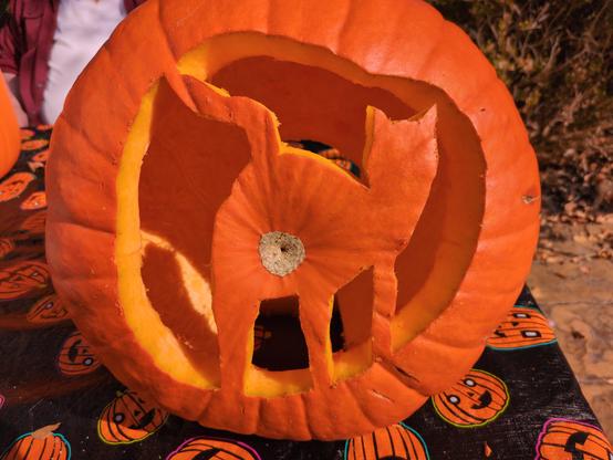 The bottom of a pumpkin carved in the shape of a cat with it's butt towards the viewer.