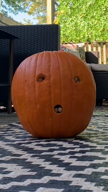 someone places peanuts in 3 holes on a pumpkin. the squirrels come and chew out the holes until the pumpkin face is "carved"

credit:

https://www.reddit.com/r/funny/comments/1xgdjtt/passive_pumpkin_carving/
