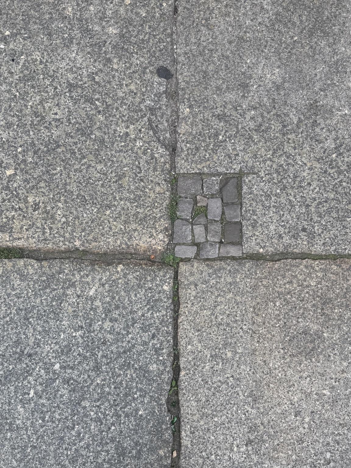 An irregular stone pavement with a small, differently shaped stone embedded in the center, surrounded by larger, gray stones. Some sparse greenery is visible in the cracks.